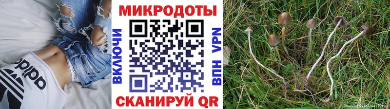 Псилоцибиновые грибы Psilocybe  KRAKEN ссылка  Самара 